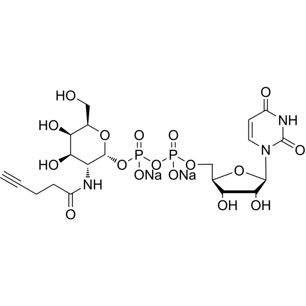 UDP-D-GalNAlk disodium 2370947-52-5